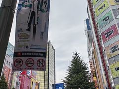 -秋叶原电器街