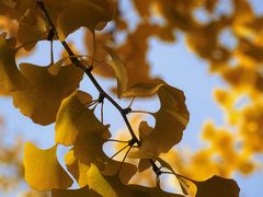 -上海交通大学(闵行校区)