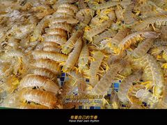 -欧记·龙城港(欣都店)