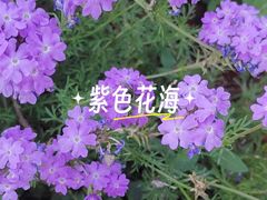 -南屏步行街