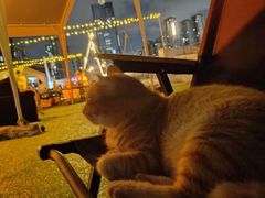 -大白之家天台轰趴•烧烤•团建•生日(南山店)