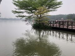 -海珠湖公园