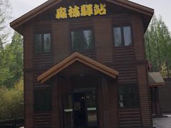 -黄海国家森林公园