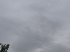 -伊犁河风景区
