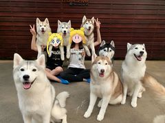 -TrueLove @ Neverland (Husky Cafe)
