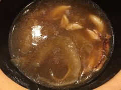 -大中鱼翅 Taitong Shark Fin