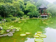 -云溪植物园