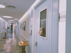 -杭州贝瑞斯美华妇儿医院·早孕·产检·儿科