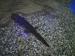 -石林冰雪海洋世界