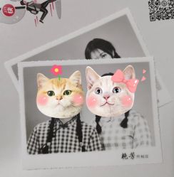 -艳芳照相馆