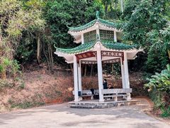 -莲花山公园