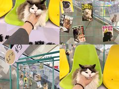 -天虹购物中心(石路店)