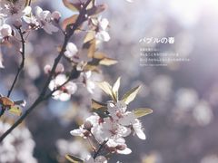-龙洞风景区-藏龙涧