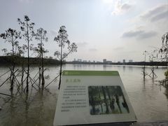 -海珠湖公园