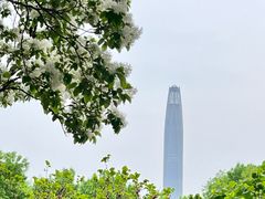 -泰丰公园