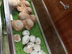 -珠海市博物馆