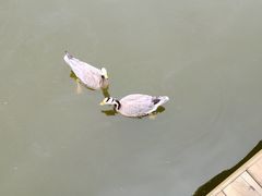 -青藏高原野生动物园