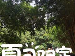 -成都市活水公园