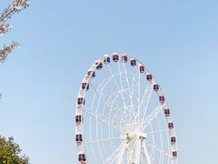 -顾村公园