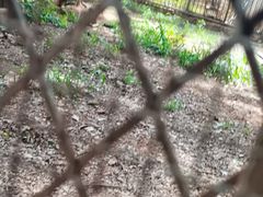 -昆明动物园