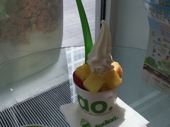 -Salud撒露欧洲冻酸奶(北苑上品店)