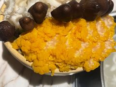 -汤城·料青山