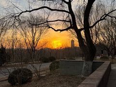 -永定河休闲森林公园