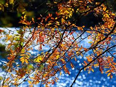 -叠溪松坪沟景区