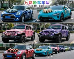 -喜乐汇·婚车(华润橡树湾3期店)