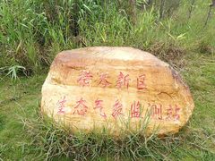-芒洲湿地公园