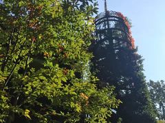 -三鹰之森吉卜力美术馆