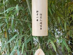 -天津水上公园
