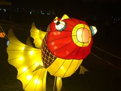 -万绿园