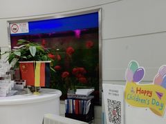 -雅悦齿科(顾村公园店)
