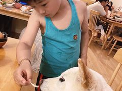 -柴の食堂·日式家庭料理·熊之肆(大学路店)