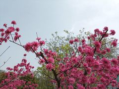 -经纬广场