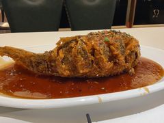 糖醋黄河鲤鱼-金春禧(世茂国际广场店)
