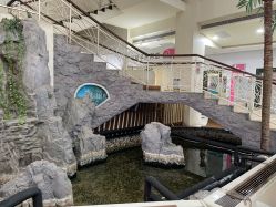 -五洲妇儿医院