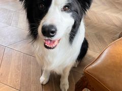 -婕妮璐超市 Jenny Lou’s Shop(三里屯店)