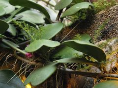 -米庄·原味私房菜(骏壹万邦店)