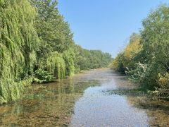 -溱湖国家湿地公园