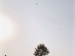 -钟山体育运动公园