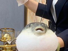 -鲐赏河豚(长寿店)