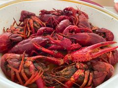-霸王虾·麻辣小龙虾(清水河公园店)