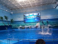 -多彩贵州城极地海洋世界