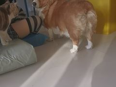 -平行世界·猫咖(首经贸店)