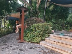 -海兰云天度假区温泉