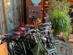 -吉祥圣雪藏餐