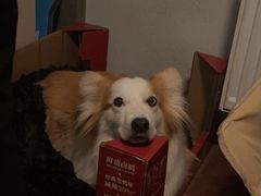 -小鱼锅贴明光土菜