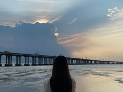 -宝安西湾红树林湿地公园